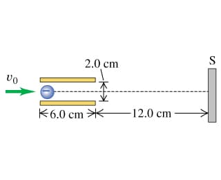 2.0 cm
S
不
不6.0 cm 米
-12.0 cm
