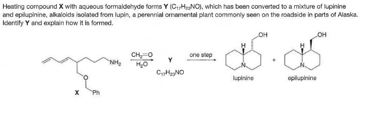 Heating compound X with aqueous formaldehyde forms Y (C17H23NO), which has been converted to a mixture of lupinine
and epilupinine, alkaloids isolated from lupin, a perennial ornamental plant commonly seen on the roadside in parts of Alaska.
Identify Y and explain how it is formed.
HO
но
CH=0
one step
NH2
C,,H23NO
lupinine
epilupinine
Ph
