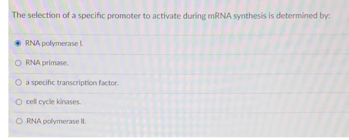 The selection of a specific promoter to activate during mRNA synthesis is determined by:
RNA polymerase I.
RNA primase.
O a specific transcription factor.
O cell cycle kinases.
O RNA polymerase II.
