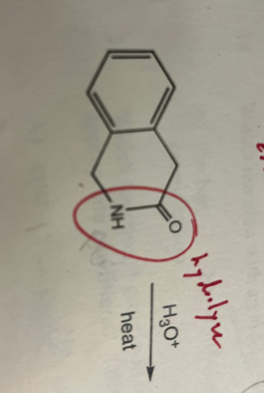 NH
hyderlyne
H3O+
heat