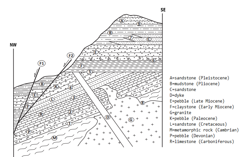 SE
NW
F2
• O.
F1
A=sandstone (Pleistocene)
B=mudstone (P1iocene)
C=sandstone
D=dyke
E=pebble (Late Miocene)
F=claystone (Early Miocene)
G=granite
K=pebble (Paleocene)
L=sandstone (Cretaceous)
M=metamorphic rock (Cambrian)
P=pebble (Devonian)
R=limestone (Carboniferous)
(RT
+
