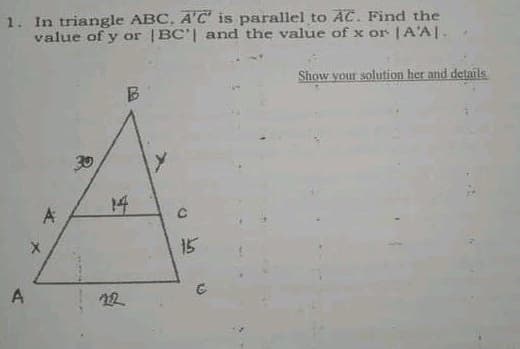 1. In triangle ABC, A'C is parallel to AC. Find the
value of y or |BC'| and the value of x or |A'A|.
Show your solution her and details
30
14
A
15
A
22
