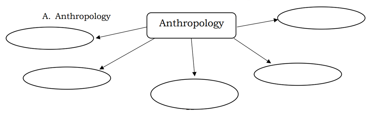 A. Anthropology
Anthropology
