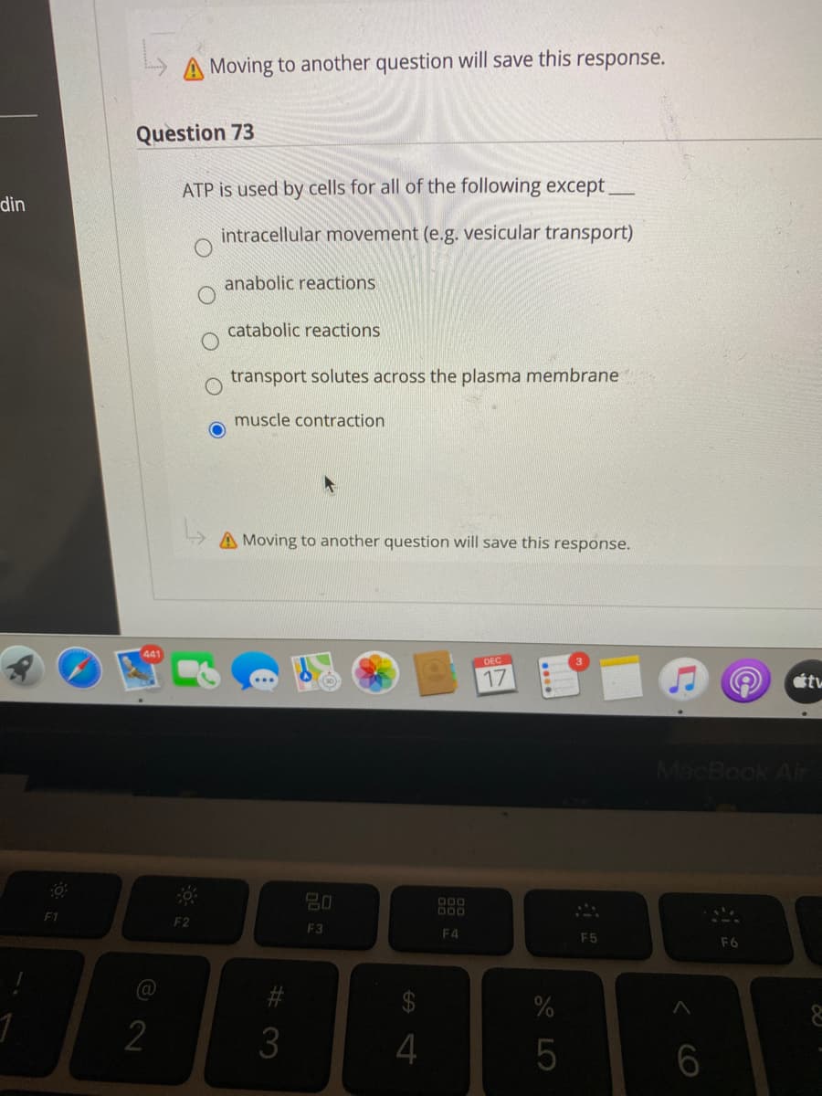 A Moving to another question will save this response.
Question 73
ATP is used by cells for all of the following except
din
intracellular movement (e.g. vesicular transport)
anabolic reactions
catabolic reactions
transport solutes across the plasma membrane
muscle contraction
A Moving to another question will save this response.
DEC
MacBook Air
20
O00
000
F1
F2
F3
F4
F5
F6
23
2
3
4
6
