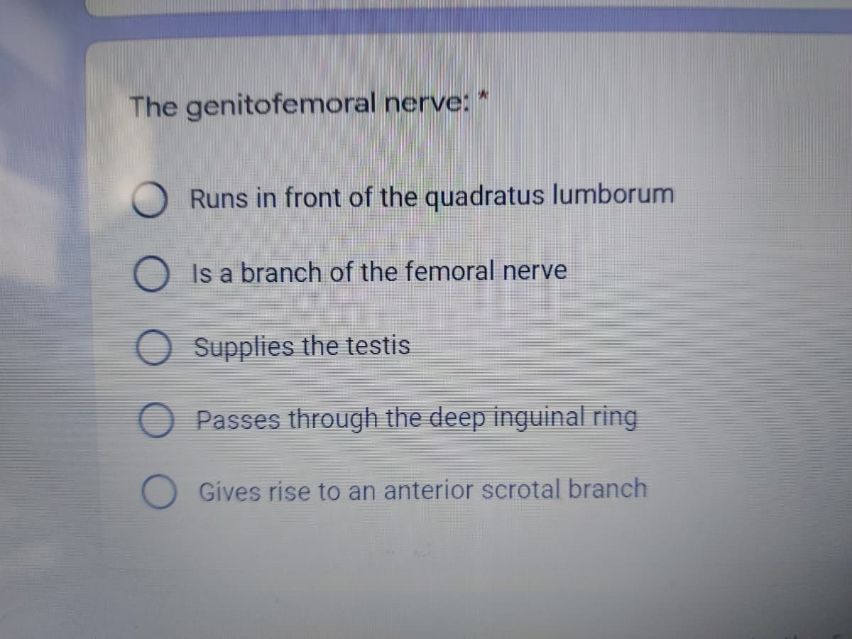 The genitofemoral nerve: *
Runs in front of the quadratus lumborum
Is a branch of the femoral nerve
Supplies the testis
Passes through the deep inguinal ring
Gives rise to an anterior scrotal branch
