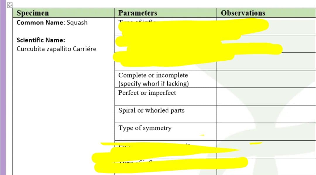 Specimen
Common Name: Squash
Parameters
Observations
Scientific Name:
Curcubita zapallito Carriére
Complete or incomplete
(specify whorl if lacking)
Perfect or imperfect
Spiral or whorled parts
Type of symmetry
