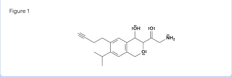 Figure 1
:ÖH
:0:
NH2
ö:
