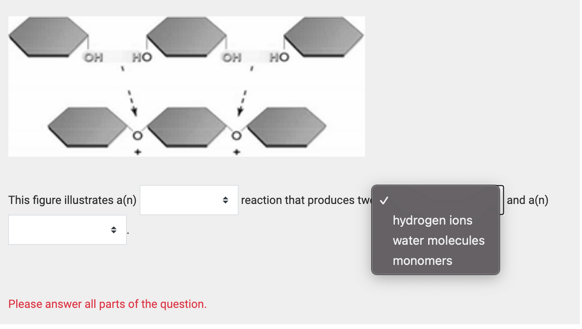 OH
HO
This figure illustrates a(n)
Please answer all parts of the question.
OH HO
◆ reaction that produces tw
hydrogen ions
water molecules
monomers
and a(n)