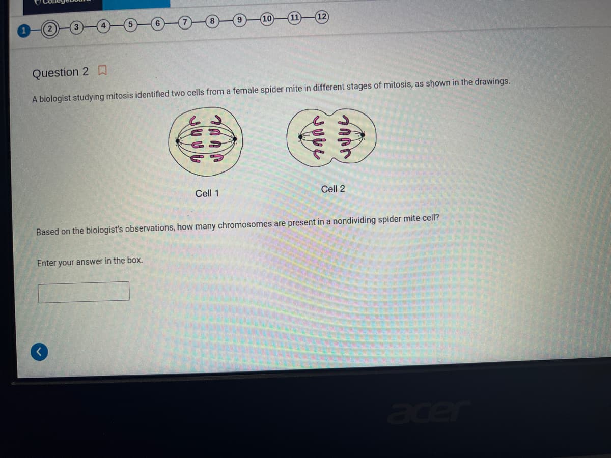 Question 2
A biologist studying mitosis identified two cells from a female spider mite in different stages of mitosis, as shown in the drawings.
0 0 0
Enter your answer in the box.
7000
Cell 1
SULL
Cell 2
Based on the biologist's observations, how many chromosomes are present in a nondividing spider mite cell?
acer