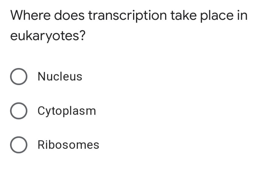 Where does transcription take place in
eukaryotes?
O Nucleus
O Cytoplasm
O Ribosomes
