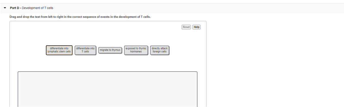 Part D - Development of T cells
Drag and drop the text from left to right in the correct sequence of events in the development of T cells.
Reset Help
differentiate into
lymphatic stem cells
differentiate into
T cells
exposed to thymic
hormones
directly attack
foreign cells
migrate to thymus

