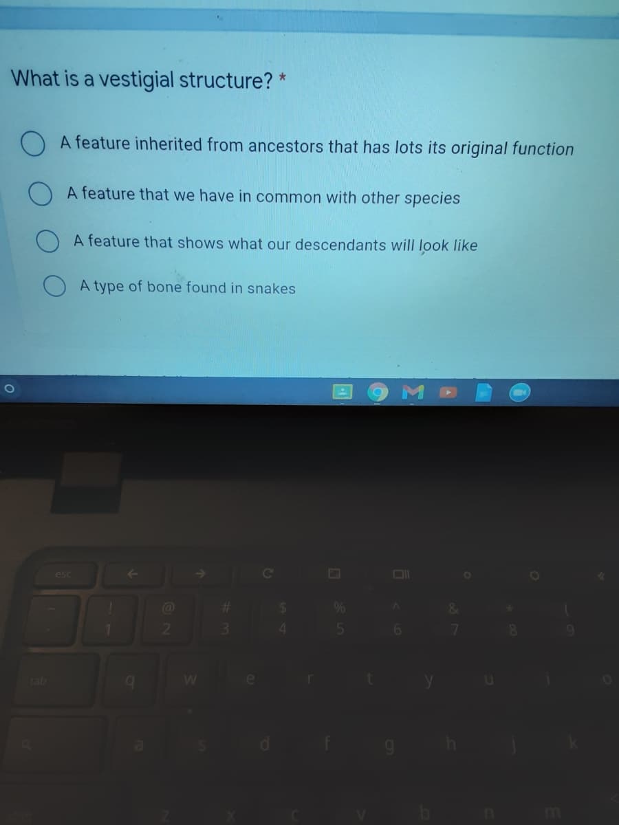 What is a vestigial structure? *
A feature inherited from ancestors that has lots its original function
A feature that we have in common with other species
A feature that shows what our descendants will look like
A type of bone found in snakes
->
Cc
esc
%23
21
3.
6.
tab
n
m
