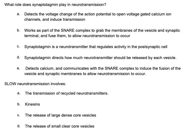 What role does synaptotagmin play in neurotransmission?
a. Detects the voltage change of the action potential to open voltage gated calcium ion
channels, and induce transmission
b. Works as part of the SNARE complex to grab the membranes of the vesicle and synaptic
terminal, and fuse them, to allow neurotransmission to occur
c. Synaptotagmin is a neurotransmitter that regulates activity in the postsynaptic cell
d. Synaptotagmin directs how much neurotransmitter should be released by each vesicle.
Detects calcium, and communicates with the SNARE complex to induce the fusion of the
vesicle and synaptic membranes to allow neurotransmission to occur.
е.
SLOW neurotransmission involves:
a. The transmission of recycled neurotransmitters.
b. Kinesins
C.
The release of large dense core vesicles
d. The release of small clear core vesicles
