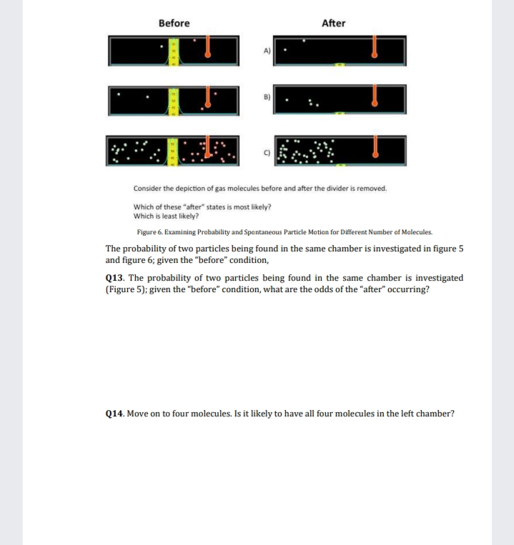 Before
After
Consider the depiction of gas molecules before and after the divider is removed.
Which of these "after" states is most likely?
Which is least likely?
Figure 6. Examining Probability and Spontaneous Particle Motion for Different Number of Molecules.
The probability of two particles being found in the same chamber is investigated in figure 5
and figure 6; given the "before" condition,
Q13. The probability of two particles being found in the same chamber is investigated
(Figure 5); given the "before" condition, what are the odds of the "after" occurring?
Q14. Move on to four molecules. Is it likely to have all four molecules in the left chamber?
