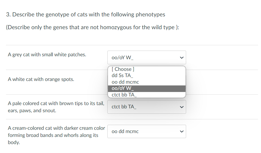 **Question 3: Describe the genotype of cats with the following phenotypes**

*(Describe only the genes that are not homozygous for the wild type)*

1. **A grey cat with small white patches.**
   - Selected Genotype: oo/oY W_

2. **A white cat with orange spots.**
   - Selected Genotype: ctcƭ bb TA_

3. **A pale colored cat with brown tips to its tail, ears, paws, and snout.**
   - Selected Genotype: ctcƭ bb TA_

4. **A cream-colored cat with darker cream color forming broad bands and whorls along its body.**
   - Selected Genotype: oo dd mcʹ/mcʹ