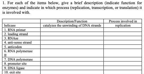 1. For each of the items below, give a brief description (indicate function for
enzymes) and indicate in which process (replication, transcription, or translation) it
is involved with.
Description/Funetion
catalyzes the unwinding of DNA strands
Process involved in
helicase
replication
1. RNA primer
2. leading strand
3. RNASE
4. anti-sense strand
5. anticodon
6. RNA polymerase
II
7. DNA polymerase
8. promoter site
9. DNA ligase
10. exit site
