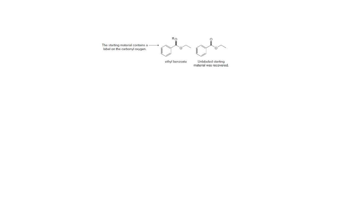 180
The starting material contains a
label on the carbonyl oxygen.
Unlabelod starting
material was recovered.
ethyl bonzoate
