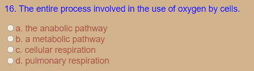 16. The entire process involved in the use of oxygen by cells.
O a. the anabolic pathway
O b. a metabolic pathway
C. cellular respiration
Od. pulmonary respiration

