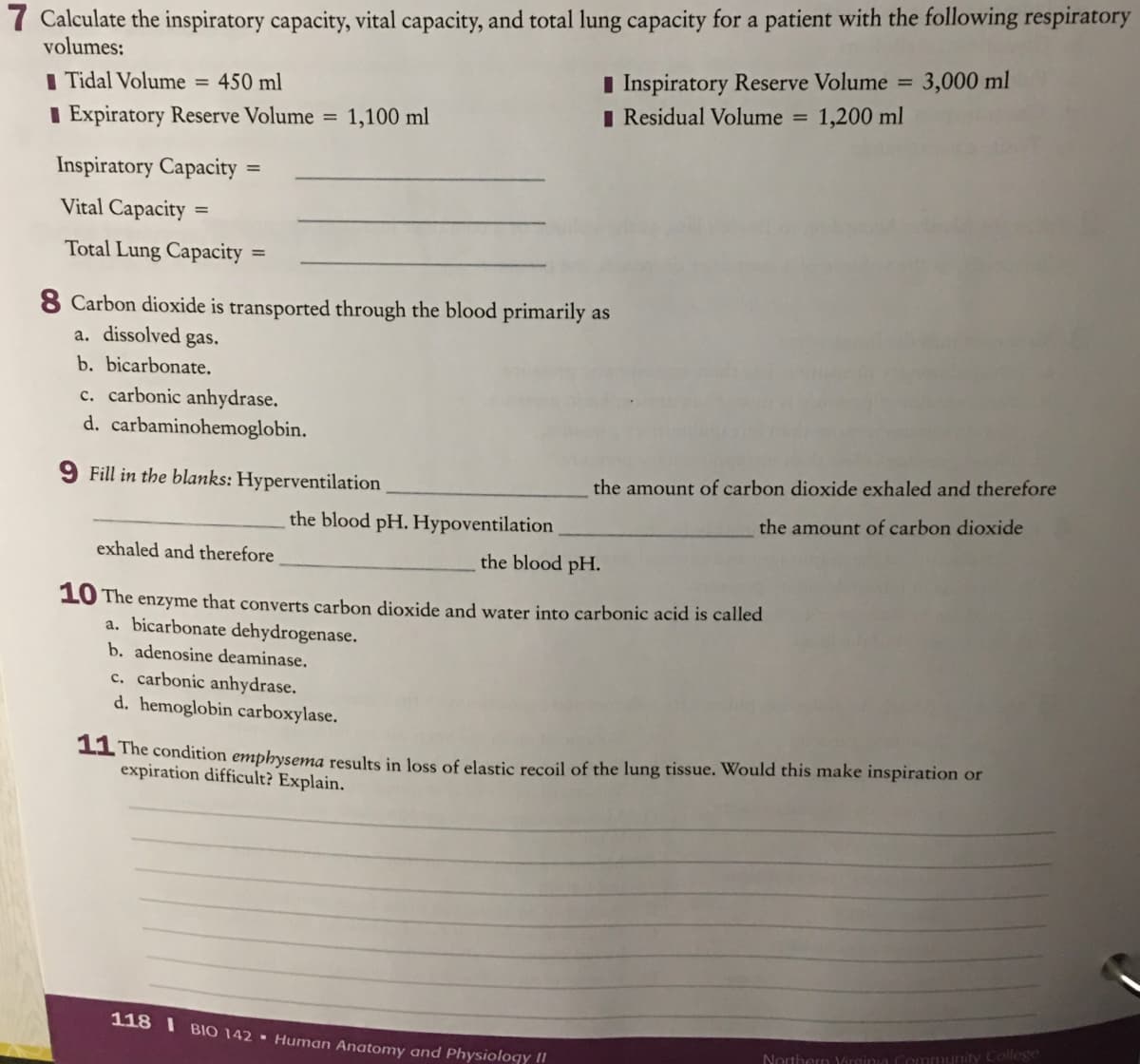 7 Calculate the inspiratory capacity, vital capacity, and total lung capacity for a patient with the following respiratory
volumes:
I Inspiratory Reserve Volume =
I Residual Volume =
3,000 ml
I Tidal Volume = 450 ml
1,200 ml
I Expiratory Reserve Volume = 1,100 ml
Inspiratory Capacity
Vital Capacity
%3D
Total Lung Capacity
%3D
8 Carbon dioxide is transported through the blood primarily as
a. dissolved gas.
b. bicarbonate.
c. carbonic anhydrase.
d. carbaminohemoglobin.
9 Fill in the blanks: Hyperventilation
the amount of carbon dioxide exhaled and therefore
the blood pH. Hypoventilation
the amount of carbon dioxide
exhaled and therefore
the blood pH.
10 The enzyme that converts carbon dioxide and water into carbonic acid is called
a. bicarbonate dehydrogenase.
b. adenosine deaminase.
c. carbonic anhydrase.
d. hemoglobin carboxylase.
II The condition emphysema results in loss of elastic recoil of the lung tissue. Would this make inspiration or
expiration difficult? Explain.
118 I BIO 142 - Human Anatomy and PhysioloqY "
Northern Vireinia Conmmunity College
