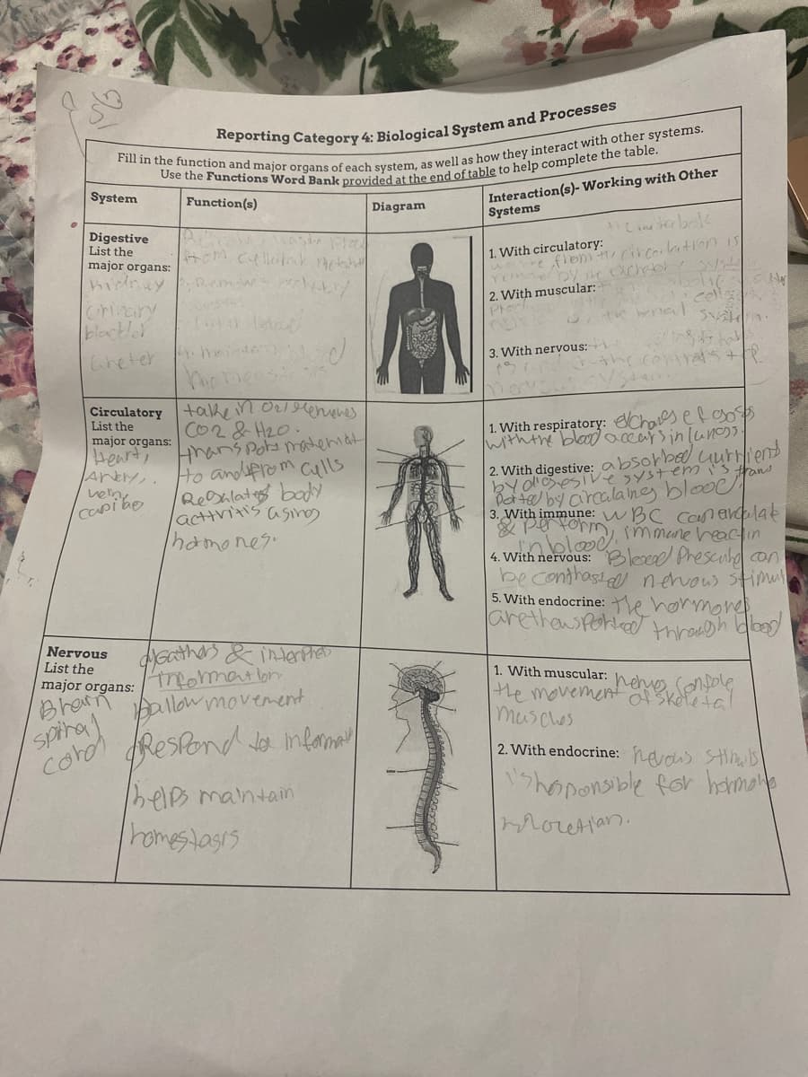 Interaction(s)- Working with Other
Systems
System
Function(s)
Diagram
Digestive
List the
major organs:
hidnuy
Pled
1. With circulatory:
e flem Circolation I5
Remw h
orinary
blactler
2. With muscular:
Pro
cell
te hernal
Wheter
3. With nervous:
Comrals +
momenst
Circulatory +alke in Orleenenes
CO2& H20.
Hrans Pota matenidt
Ho andsfrem Culls
Resalate bady
lacttritis asin
lhamones.
List the
major organs:
Heart,
1. With respiratory: chaes efgo
with the bloodaccar>inlund)).
2. With digestive: absorbed
by diesivesystemis tans
Derted by arcala ines blooc
3. With immune: wBC ccn avlak
perrorm
Gurtliend
capibe
inbleod.mmane heactin
4. With nervous: Bleoad Phescuhol con
beconthasid nehvous Stimu
5. With endocrine: he hormore.
arethen Pohied threegh Hoo
Nervous
List the
Gathers & interther
major organs: 7fomation
Brarn
spiral
1. With muscular:
hems
allow movement
the movement skofin
musches
coro ResPond do inlama
2. With endocrine: hevais SHB
13hoponsible for hanmae
belp maintain
Thomestasis
Moretlan.
