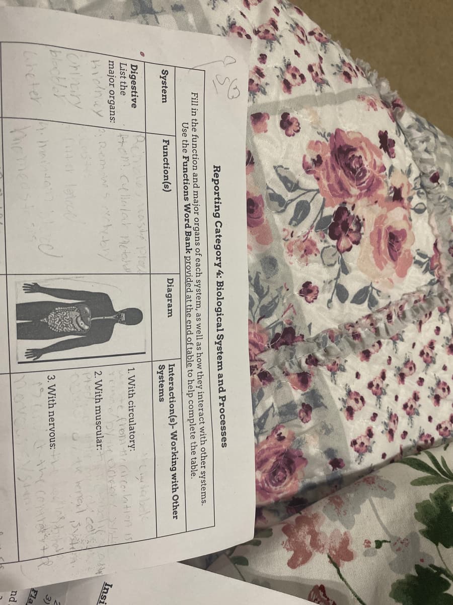 Reporting Category 4: Biological System and Processes
Fill in the function and major organs of each system, as well as how they interact with other systems.
Use the Functions Word Bank provided at the end of table to help complete the table.
Interaction(s)- Working with Other
Systems
Function(s)
Diagram
System
Digestive
1. With circulatory:
Hem.cullalar netahe
fron rir(oiltion is
List the
major organs:
Insi
2. With muscular:
Phoc
tk henel
oninary
blackler
wheter
let
3. With nervous: \
3)
Fla
homeasto
nd
