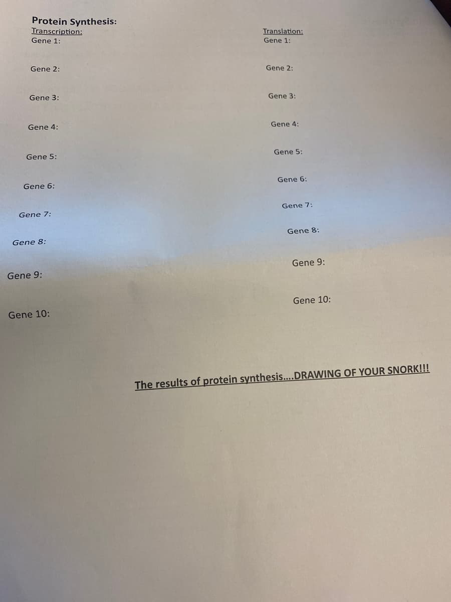 Protein Synthesis:
Transcription:
Translation:
Gene 1:
Gene 1:
Gene 2:
Gene 2:
Gene 3:
Gene 3:
Gene 4:
Gene 4:
Gene 5:
Gene 5:
Gene 6:
Gene 6:
Gene 7:
Gene 7:
Gene 8:
Gene 8:
Gene 9:
Gene 9:
Gene 10:
Gene 10:
The results of protein synthesis....DRAWING OF YOUR SNORK!!!
