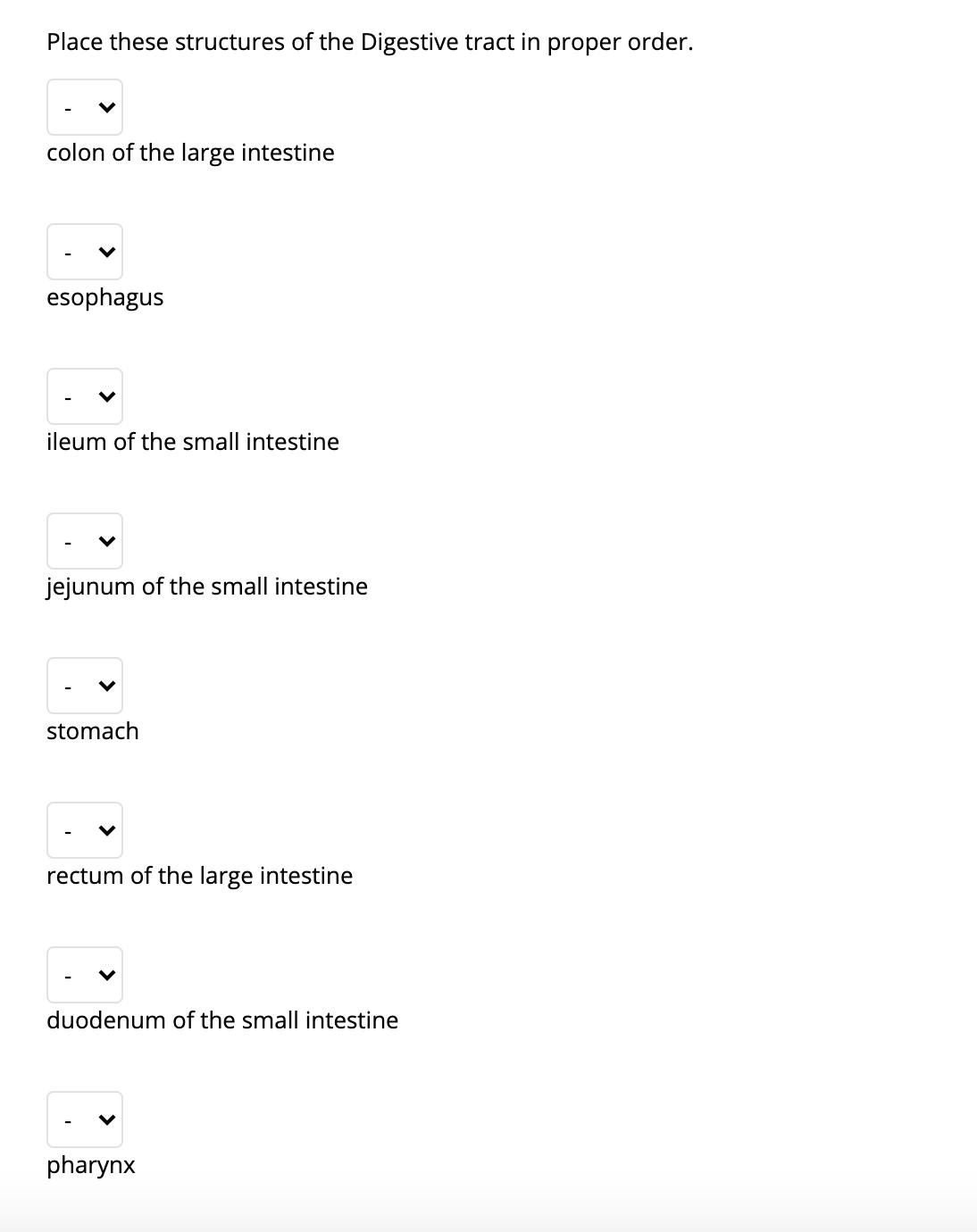 Place these structures of the Digestive tract in
proper
order.
colon of the large intestine
esophagus
ileum of the small intestine
jejunum of the small intestine
stomach
rectum of the large intestine
duodenum of the small intestine
pharynx
