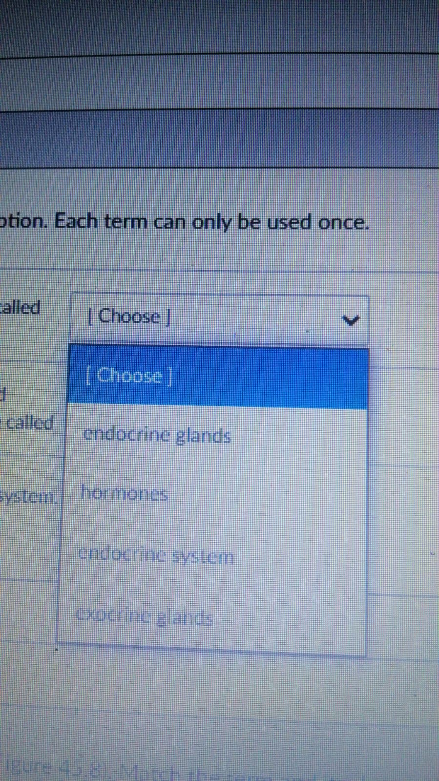 otion. Each term can only be used once.
alled
(Choose |
[Choose]
called
endocrine glands
ystem
hormones
endocrine system
exoerinc glands
igure 43 8) MY
