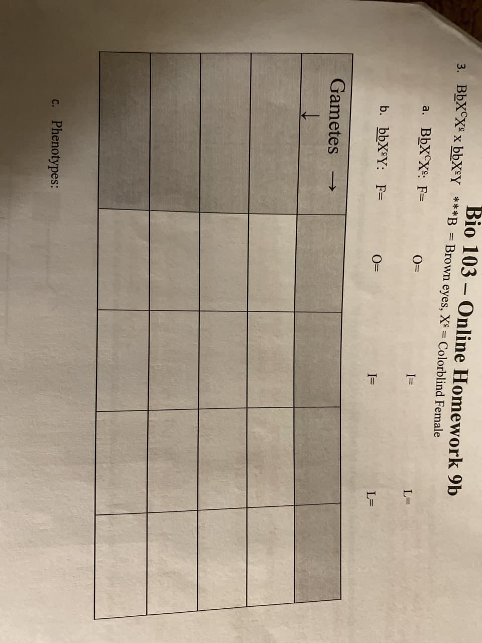 3. BbXX x bbXY ***B
==
Bio 103 Online Homework 9b
Brown eyes, X = Colorblind Female
a. BbXX: F=
0=
I=
L=
b. bbXY: F=
0=
I=
L=
Gametes →
↓
c. Phenotypes: