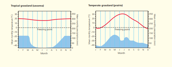 Tropical grassland (savanna)
Temperate grassland (prairie)
Freezing point
JEMAM
SOND
JFMAMIJA SOND
Month
Month
Mean montly precipiation (mm)
Mean monthly temperature ("O
Mean manthly predpusonýmm)
(2) anadu uo ray
