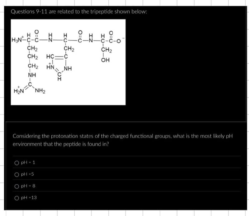 Questions 9-11 are related to the tripeptide shown below:
0=0
H
H3N-C-C-
N
IZ
IC-
CH2
CH2
CH2
HC
+1
CH2
HN
NH
ΝΗ
ΙΟ
H₂N
NH2
CH2
OH
Considering the protonation states of the charged functional groups, what is the most likely pH
environment that the peptide is found in?
OpH 1
O pH 5
O pH 8
O pH 13