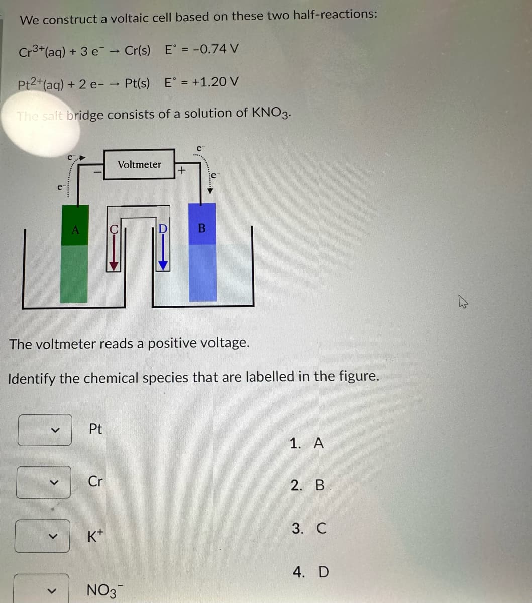 We construct a voltaic cell based on these two half-reactions:
Cr³+ (aq) + 3 e Cr(s) E° = -0.74 V
Pt2+ (aq) + 2 e-- Pt(s) E = +1.20 V
The salt bridge consists of a solution of KNO3.
>
A
>
The voltmeter reads a positive voltage.
Identify the chemical species that are labelled in the figure.
Pt
Cr
Voltmeter
K+
+
NO3
B
1. A
2. B
3. C
4. D