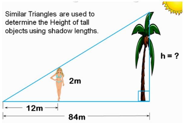 Similar Triangles are used to
determine the Height of tall
objects using shadow lengths.
h = ?
2m
12m
84m
