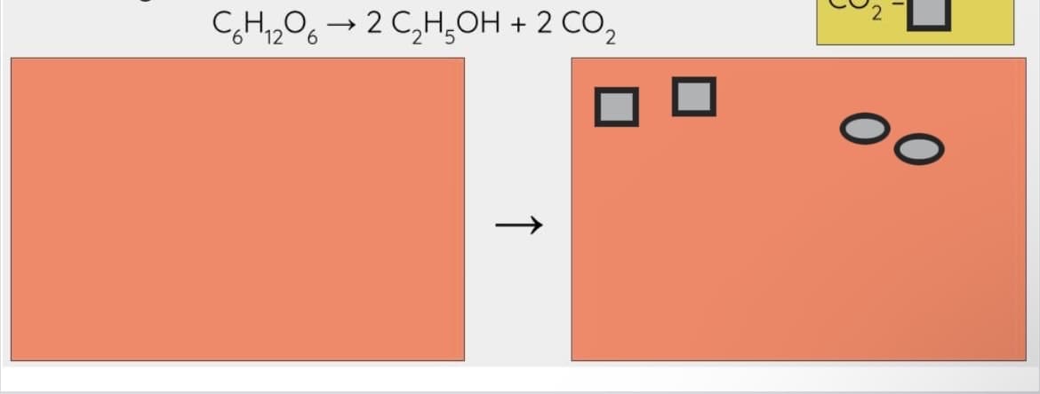 C,H2O6→ 2 C,H,OH + 2 CO2
ㅇ
↑
