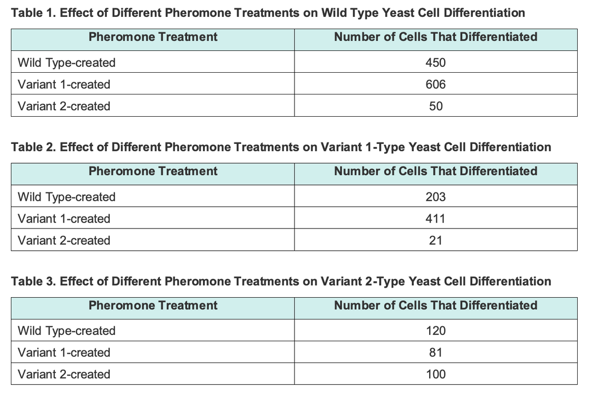 Table 1. Effect of Different Pheromone Treatments on Wild Type Yeast Cell Differentiation
Pheromone Treatment
Number of Cells That Differentiated
Wild Type-created
450
Variant 1-created
606
Variant 2-created
50
Table 2. Effect of Different Pheromone Treatments on Variant 1-Type Yeast Cell Differentiation
Pheromone Treatment
Number of Cells That Differentiated
Wild Type-created
203
Variant 1-created
411
Variant 2-created
21
Table 3. Effect of Different Pheromone Treatments on Variant 2-Type Yeast Cell Differentiation
Pheromone Treatment
Number of Cells That Differentiated
Wild Type-created
120
Variant 1-created
81
Variant 2-created
100
