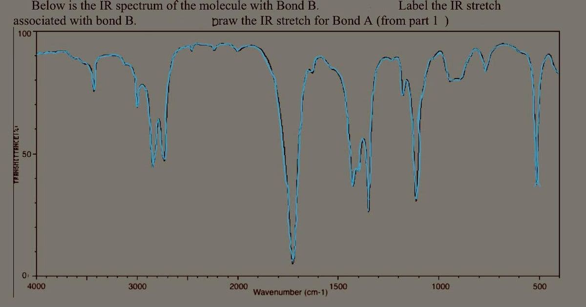 Below is the IR spectrum of the molecule with Bond B.
associated with bond B.
Label the IR stretch
praw the IR stretch for Bond A (from part 1 )
100
50-
4000
3000
2000
1500
Wavenumber (cm-1)
500
1000
TRANSHITTANCET
