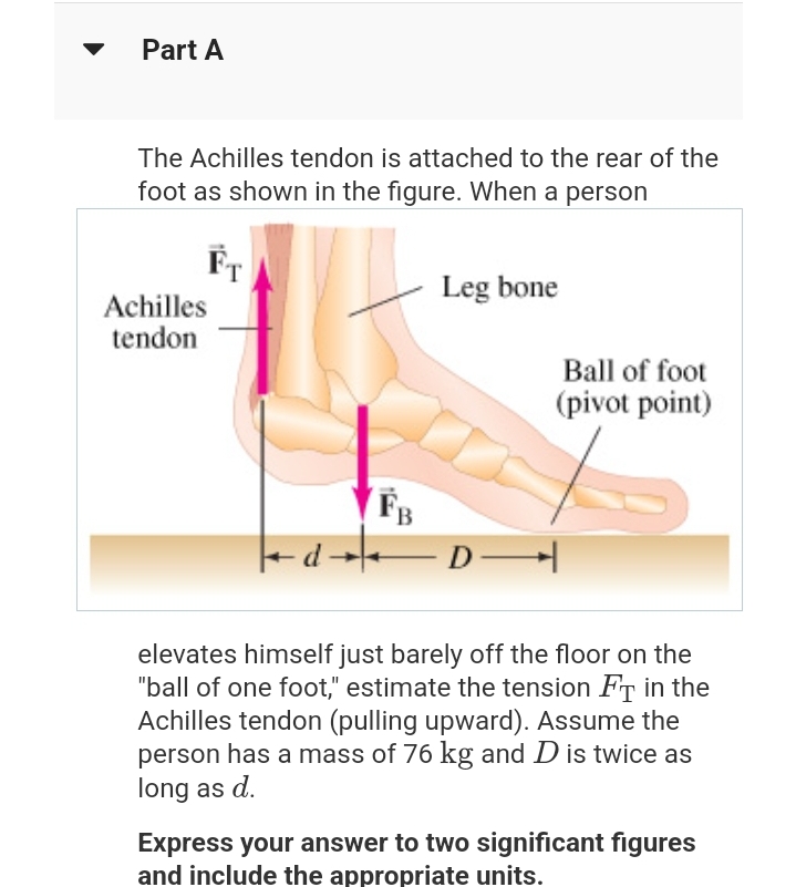 Part A
The Achilles tendon is attached to the rear of the
foot as shown in the figure. When a person
FT
Achilles
tendon
d→
FB
Leg bone
D
Ball of foot
(pivot point)
elevates himself just barely off the floor on the
"ball of one foot," estimate the tension FT in the
Achilles tendon (pulling upward). Assume the
person has a mass of 76 kg and D is twice as
long as d.
Express your answer to two significant figures
and include the appropriate units.