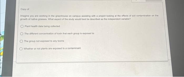 Copy of
Imagine you are working in the greenhouse on campus assisting with a project looking at the effects of soil contamination on the
growth of native grasses. What aspect of the study would best be described as the independent variable?
Plant health data being collected
The different concentration of toxin that each group is exposed to
The group not exposed to any toxins
Whether or not plants are exposed to a contaminant