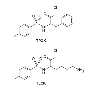 CI
N'
ТРСК
CI
`NH2
TLCK
ZI
ZI
