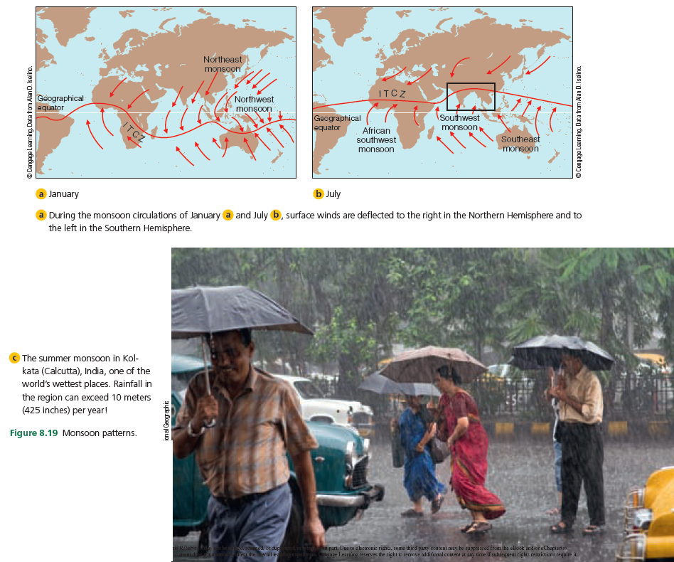 Northeast
monsoon
ITCZ
Northwest
Geographical
equator
southwest
monsoon
Geographical
equator
monsoon
ITCZ
African
southwest
Southeast
monsoon
monsoon
b July
January
During the monsoon circulations of January a and July b, surface winds are deflected to the right in the Northern Hemisphere and to
the left in the Southern Hemisphere.
The summer monsoon in Kol-
kata (Calcutta), India, one of the
world's wettest places. Rainfall in
the region can exceed 10 meters
(425 inches) per year!
Figure 8.19 Monsoon patterns.
Resere net beped. scned cr dugd, in in pari. Due to electronic rights, some third pany content may be suppressed from the eBook and/or eChapterisk
Cgage Learnina reserves the right to remove additional content at an time if subsequeni righes restrictionas require it.
tenid
Ifet theerall leangepee
O Cengage Learning. Data tom Alan D. kelino.
ional Geographic
© Cengage Learning. Data from Alan D. Iselino.
