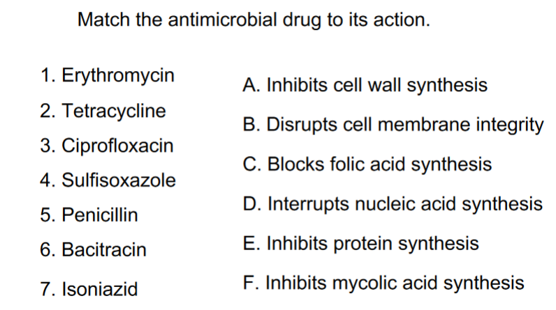 Match the antimicrobial drug to its action.
1. Erythromycin
A. Inhibits cell wall synthesis
2. Tetracycline
B. Disrupts cell membrane integrity
3. Ciprofloxacin
C. Blocks folic acid synthesis
4. Sulfisoxazole
D. Interrupts nucleic acid synthesis
5. Penicillin
6. Bacitracin
E. Inhibits protein synthesis
7. Isoniazid
F. Inhibits mycolic acid synthesis
