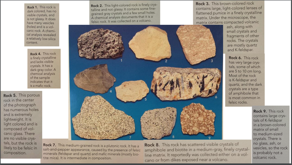 Rock 3. This brown-colored rock
Rock 1. This rock is
dark colored, has no
visible crystals, and
is not glassy. It does
have many vesicles
(holes) and is a vol-
canic rock. A chemi-
Rock 2. This light-colored rock is finely crys-
talline and not glassy. It contains some fine-
grained gray crystals and a few small holes.
A chemical analysis documents that it is a
felsic rock. It was collected on a volcano.
contains large, light-colored lenses of
flattened pumice in a finely crystalline
matrix. Under the microscope, the
matrix contains compacted volcanic
ash, along with
small crystals and
fragments of other
rocks. The crystals
are mostly quartz
and K-feldspar.
cal analysis revealed
a relatively low silica
content.
Rock 4. This rock
is finely crystalline
and lacks visible
crystals. It has a
dark-gray color. A
chemical analysis
of the sample
indicates that it
is a mafic rock.
Rock 6. This rock
2
has very large crys-
tals, some of which
are 5 to 10 cm long.
Most of the rock
is K-feldspar and
quartz, and the dark
crystals are a type
of amphibole that
is most common in
felsic rocks.
4
Rock 5. This porous
rock in the center
of the photograph
has numerous holes
and is extremely
lightweight. It is
light colored and is
composed of vol-
canic glass. There
are no visible crys-
tals, but the rock is
likely to be felsic in
composition.
Rock 9. This rock
contains large crys-
tals of K-feldspar
in a brown-colored
matrix of small
to medium-sized
7.
8.
crystals. There is
no glass, ash, or
Rock 7. This medium-grained rock is a plutonic rock. It has a
Rock 8. This rock has scattered visible crystals of
salt-and-pepper appearance, caused by the presence of felsic amphibole and biotite in a medium-gray, finely crystal- vesicles, so the rock
minerals (feldspar and quartz) and mafic minerals (mostly bio-
tite mica). It is intermediate in composition.
line matrix. It reportedly was collected either on a vol- is probably not a
cano or from dikes exposed near a volcano.
volcanic rock.
