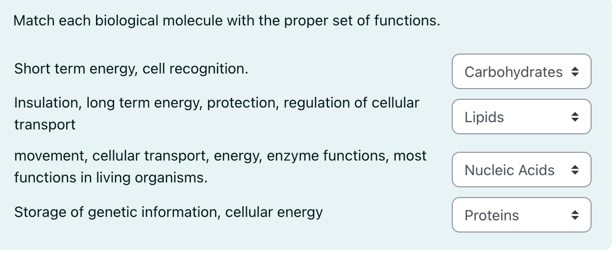Match each biological molecule with the proper set of functions.
Short term energy, cell recognition.
Insulation, long term energy, protection, regulation of cellular
transport
movement, cellular transport, energy, enzyme functions, most
functions in living organisms.
Storage of genetic information, cellular energy
Carbohydrates
Lipids
Nucleic Acids →
Proteins