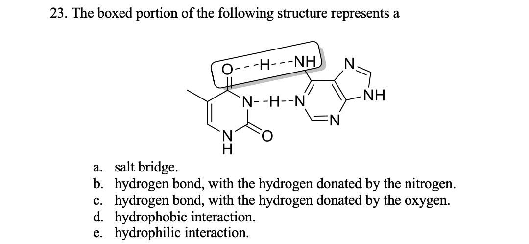 23. The boxed portion of the following structure represents a
O---H---NH
-NH
`N--H--N
N.
a. salt bridge.
b. hydrogen bond, with the hydrogen donated by the nitrogen.
c. hydrogen bond, with the hydrogen donated by the oxygen.
d. hydrophobic interaction.
e. hydrophilic interaction.
