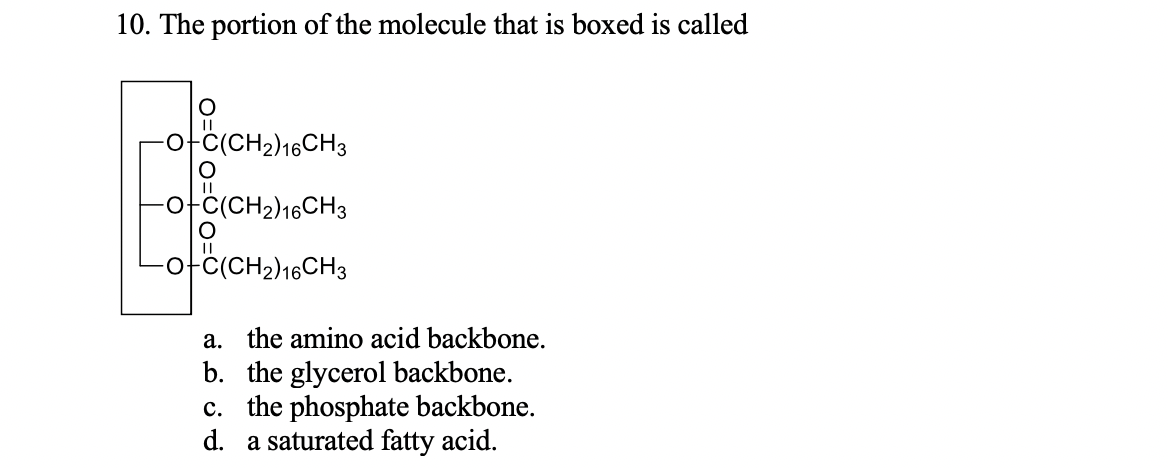 10. The portion of the molecule that is boxed is called
아C(CH2)16CH3
-아C(CH2)16CH3
아C(CH2)16CH3
a. the amino acid backbone.
b. the glycerol backbone.
c. the phosphate backbone.
d. a saturated fatty acid.
