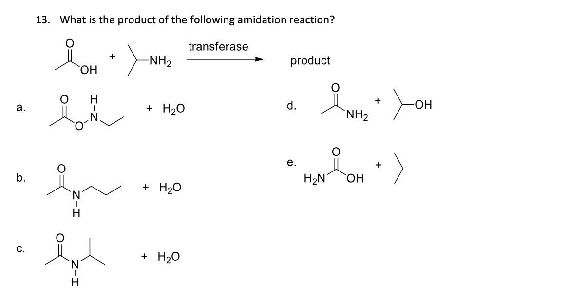 13. What is the product of the following amidation reaction?
transferase
-NH2
product
ОН
yon
Н
+ H20
d.
HO-
a.
`NH2
e.
b.
H2N
ОН
+ H20
Н
C.
+ H20
N.
Н
