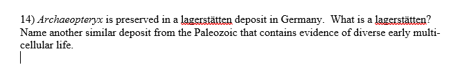 14) Archaeopteryx is preserved in a lagerstätten deposit in Germany. What is a lagerstätten?
Name another similar deposit from the Paleozoic that contains evidence of diverse early multi-
cellular life.