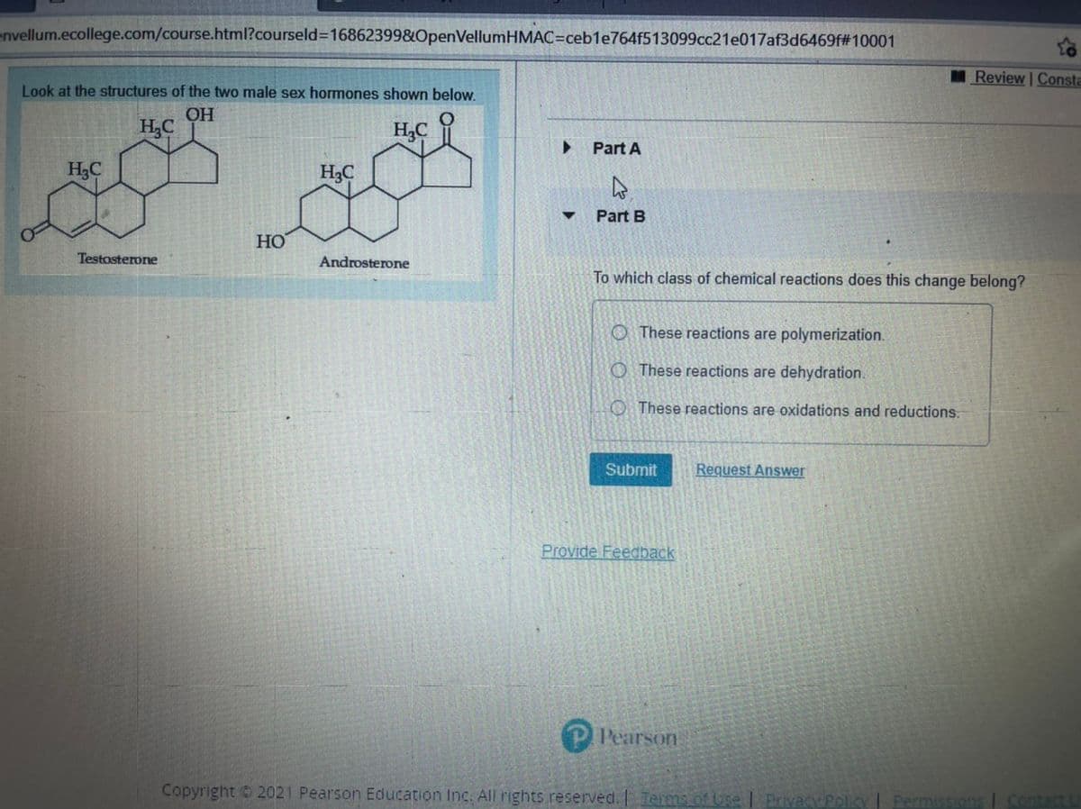 envellum.ecollege.com/course.html?courseld3D16862399&OpenVellumHMAC=ceb1e764f513099cc21e017af3d6469f#10001
MReview Consta
Look at the structures of the two male sex hormones shown below.
OH
H,C
H,C
Part A
H3C
H3C
Part B
HO
Testosterone
Androsterone
To which class of chemical reactions does this change belong?
O These reactions are polymerization.
O These reactions are dehydration.
O These reactions are oxidations and reductions.
Submit
Request Answer
Provide Feedback
Pearson
Copyright 2021 Pearson Education Inc. All rights reserved. I Terms of Use
Privacy Policy
Permissions| Contact
