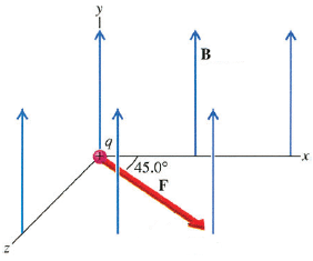 B
X-
45.0°
F
