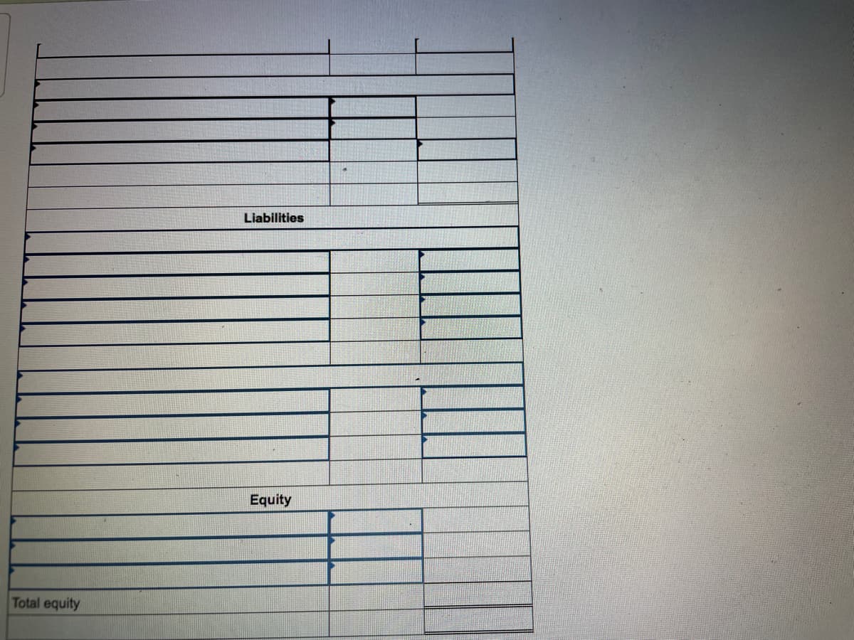 Liabilities
Equity
Total equity
